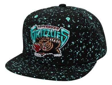 VANCOUVER GRIZZLIES