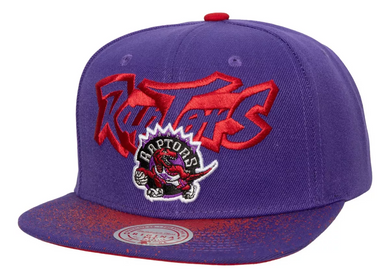 TORONTO RAPTORS