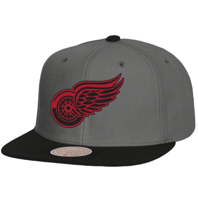 DETROIT RED WINGS