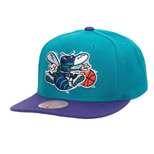 CHARLOTTE HORNETS