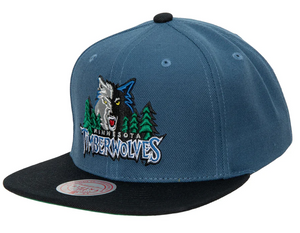 MINNESOTA TIMBERWOLVES