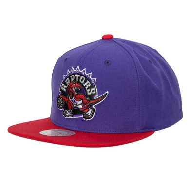 TORONTO RAPTORS