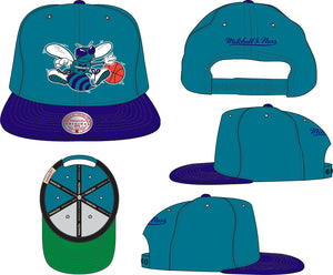 CHARLOTTE HORNETS