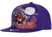 TORONTO RAPTORS