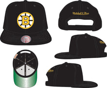 BOSTON BRUINS