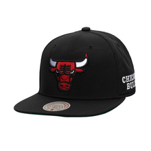 CHICAGO BULLS