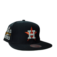 HOUSTON ASTROS