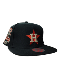 HOUSTON ASTROS