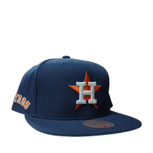 HOUSTON ASTROS
