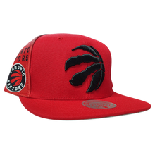TORONTO RAPTORS
