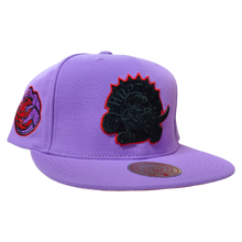 TORONTO RAPTORS