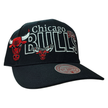 CHICAGO BULLS