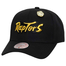 TORONTO RAPTORS