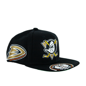 ANAHEIM DUCKS