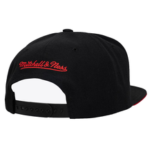 CHICAGO BULLS