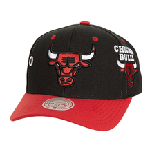 CHICAGO BULLS
