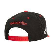 CHICAGO BULLS