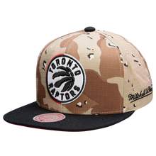 TORONTO RAPTORS