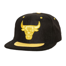 CHICAGO BULLS