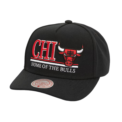 CHICAGO BULLS