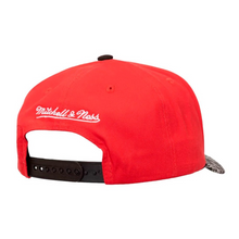 CHICAGO BULLS