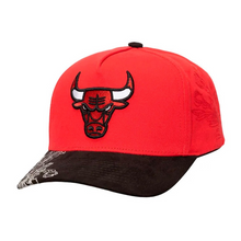 CHICAGO BULLS