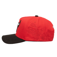 CHICAGO BULLS