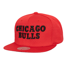 CHICAGO BULLS