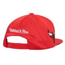 CHICAGO BULLS