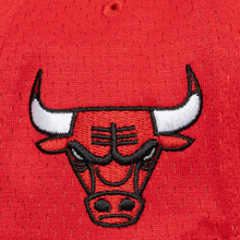 CHICAGO BULLS