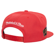 CHICAGO BULLS