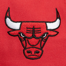 CHICAGO BULLS