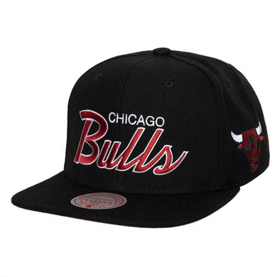 CHICAGO BULLS
