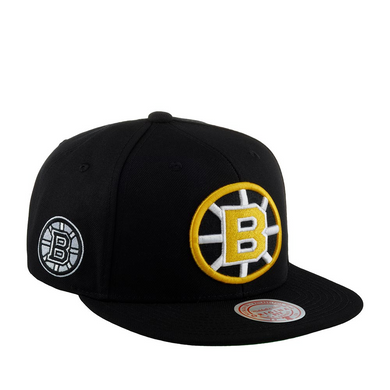 BOSTON BRUINS