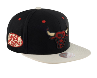 CHICAGO BULLS