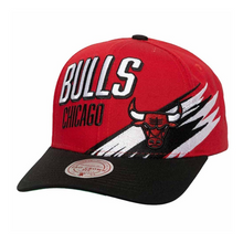 CHICAGO BULLS