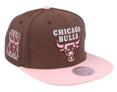 CHICAGO BULLS