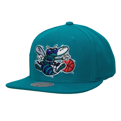 CHARLOTTE HORNETS