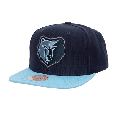 MEMPHIS GRIZZLIES