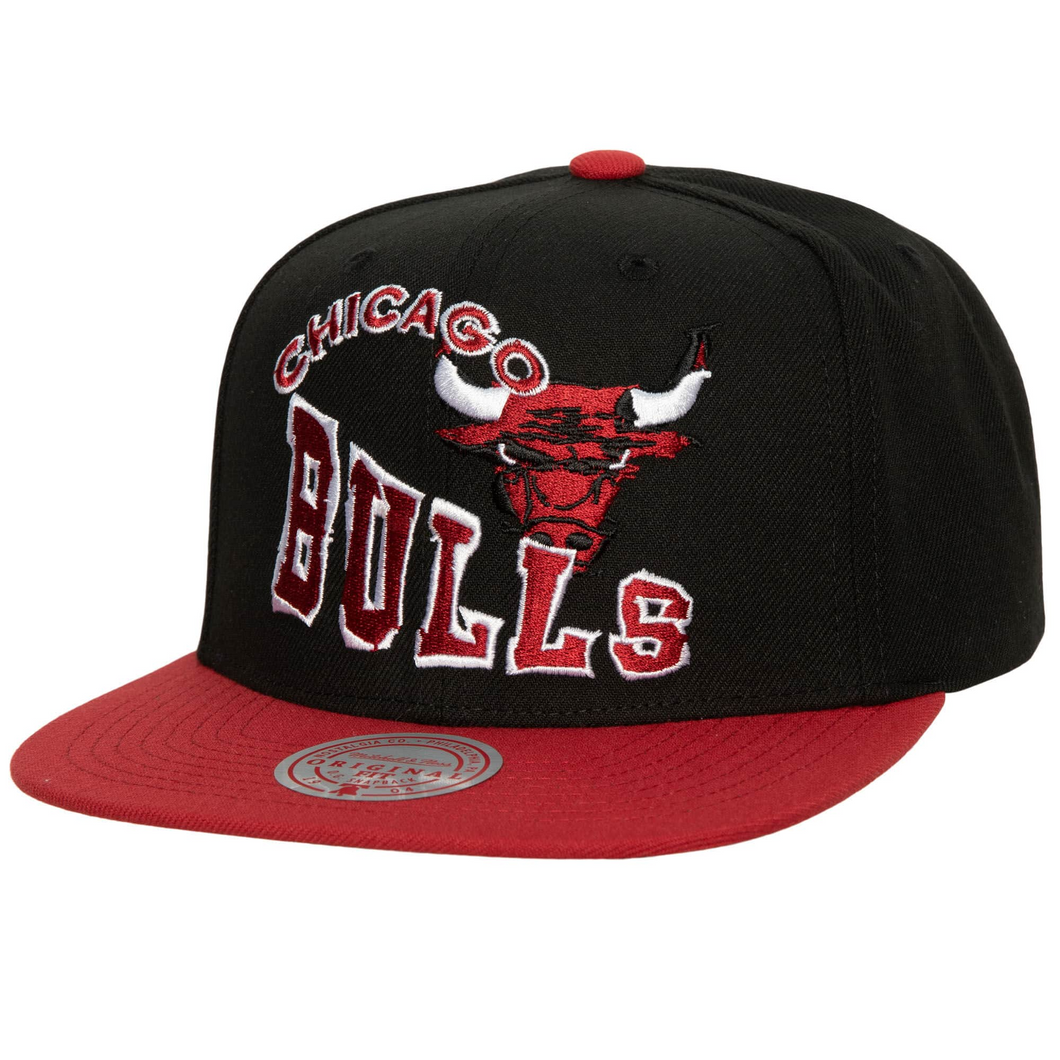 CHICAGO BULLS