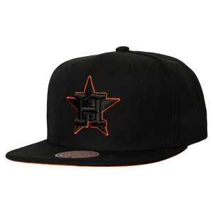 HOUSTON ASTROS