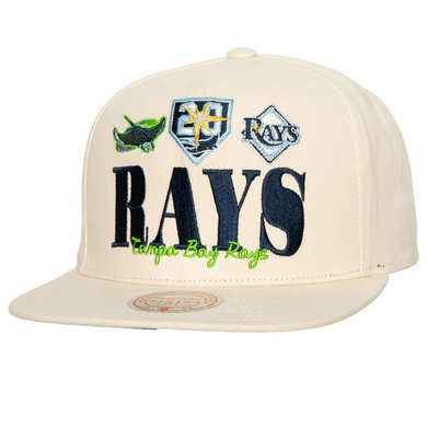 TAMPA BAY RAYS