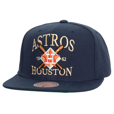 HOUSTON ASTROS