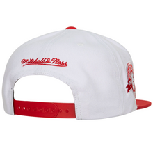 MONTREAL EXPOS