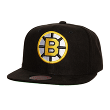 BOSTON BRUINS