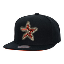 HOUSTON ASTROS