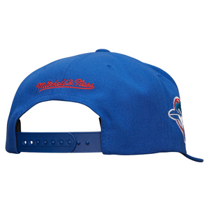 TORONTO BLUE JAYS