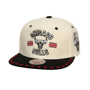 CHICAGO BULLS