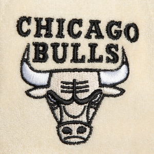 CHICAGO BULLS