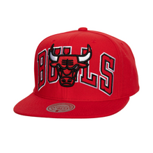 CHICAGO BULLS